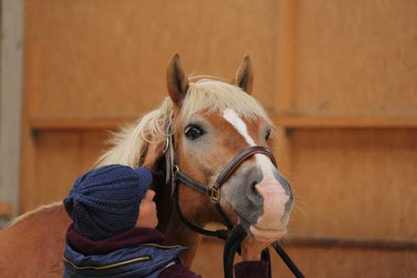 Dorntherapie für Pferd und Mensch